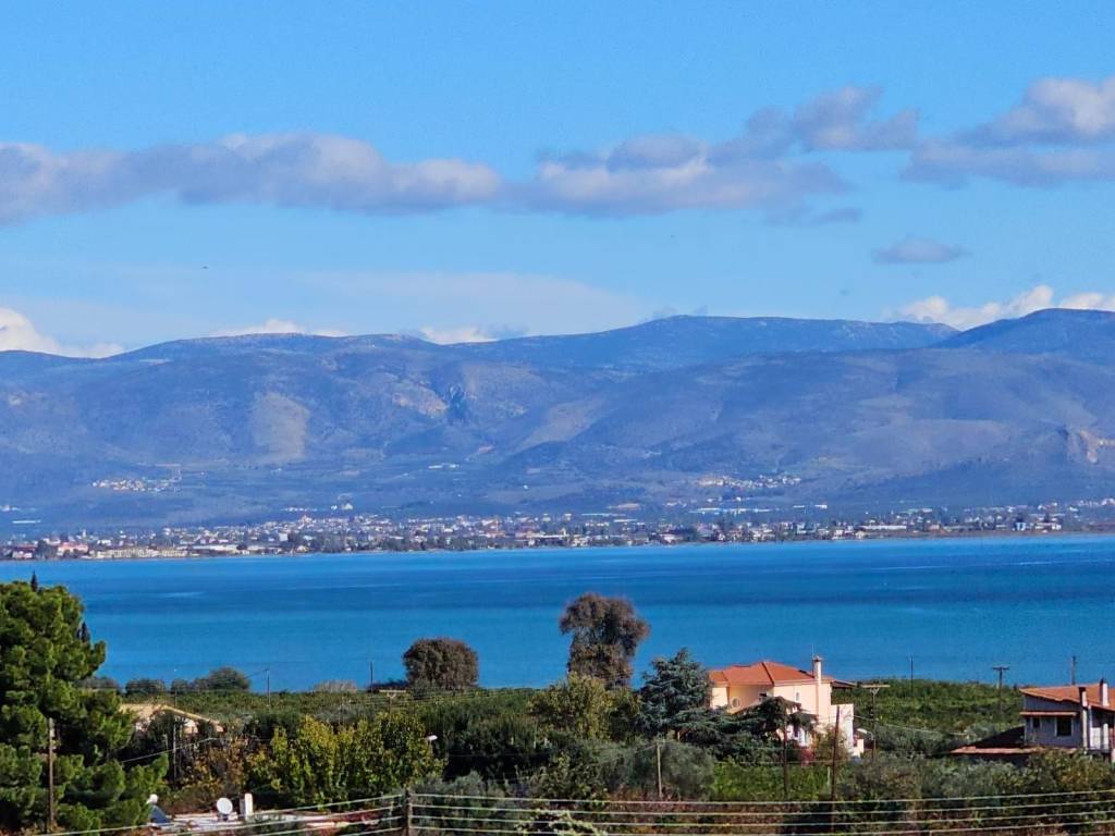 buildable plot of land with a total area of 5,200 sq.m.,