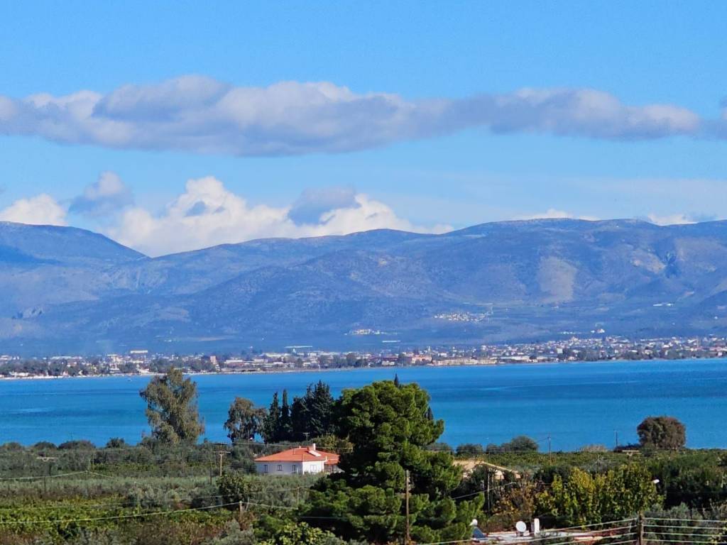 buildable plot of land with a total area of 5,200 sq.m.,