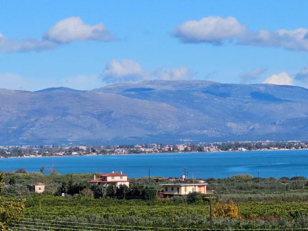 buildable plot of land with a total area of 5,200 sq.m.,