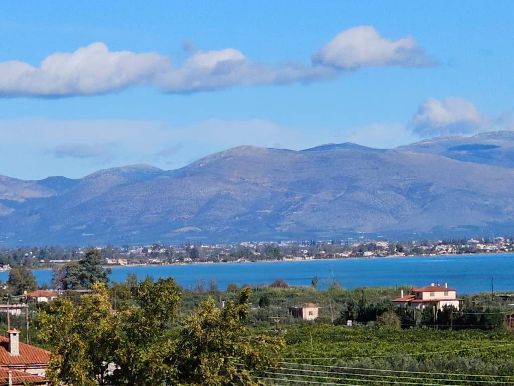 buildable plot of land with a total area of 5,200 sq.m.,