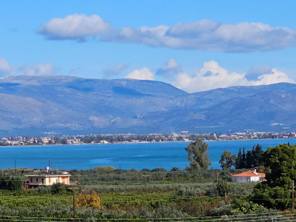 buildable plot of land with a total area of 5,200 sq.m.,