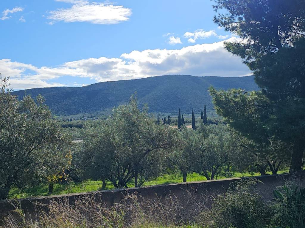 buildable plot of land with a total area of 1,600 sq.m.,