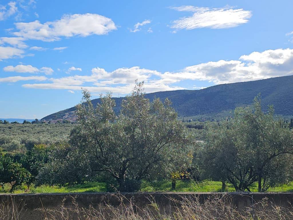 buildable plot of land with a total area of 1,600 sq.m.,