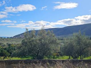 buildable plot of land with a total area of 1,600 sq.m.,