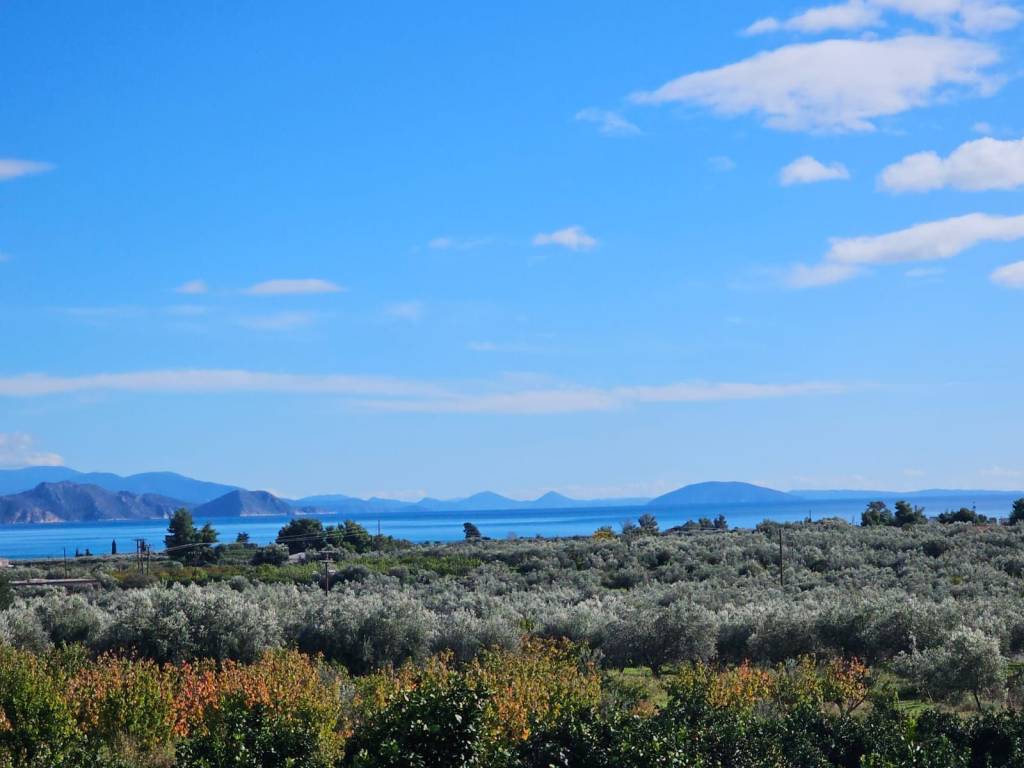 buildable plot of land with a total area of 1,600 sq.m.,