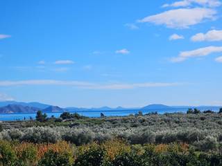 buildable plot of land with a total area of 1,600 sq.m.,