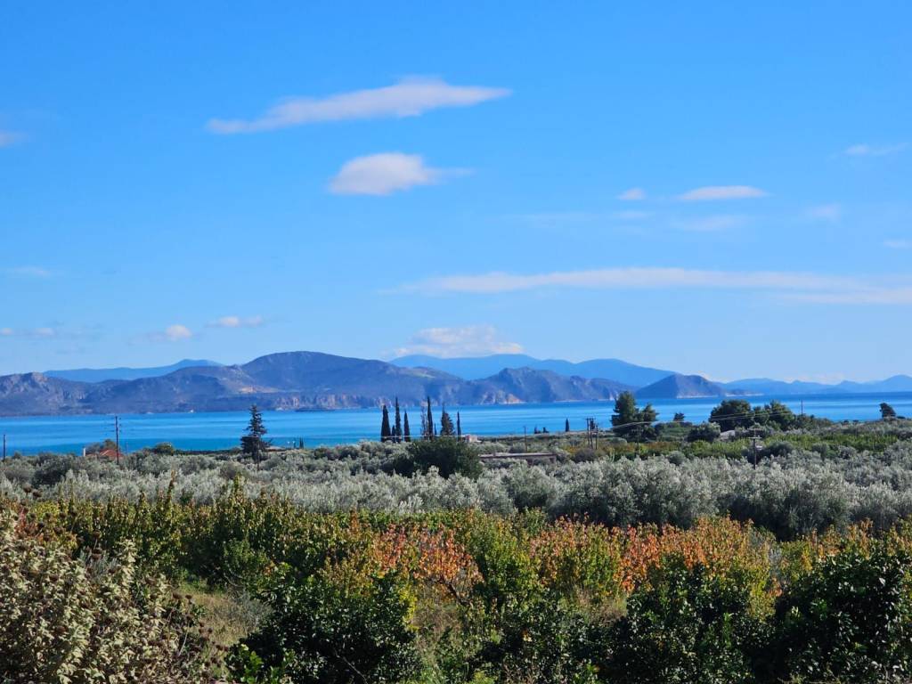 buildable plot of land with a total area of 1,600 sq.m.,