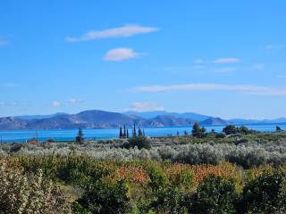 buildable plot of land with a total area of 1,600 sq.m.,