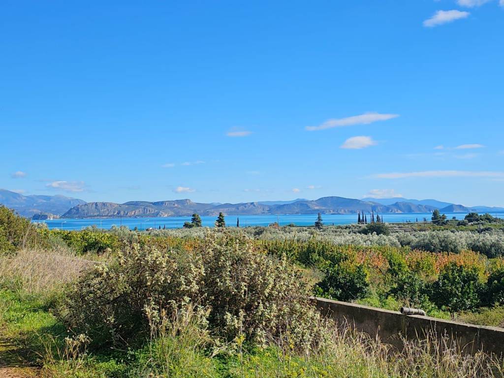 buildable plot of land with a total area of 1,600 sq.m.,