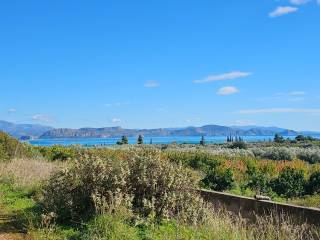 buildable plot of land with a total area of 1,600 sq.m.,