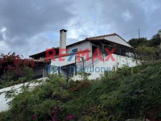 Ύπαρξη ανθρώπου