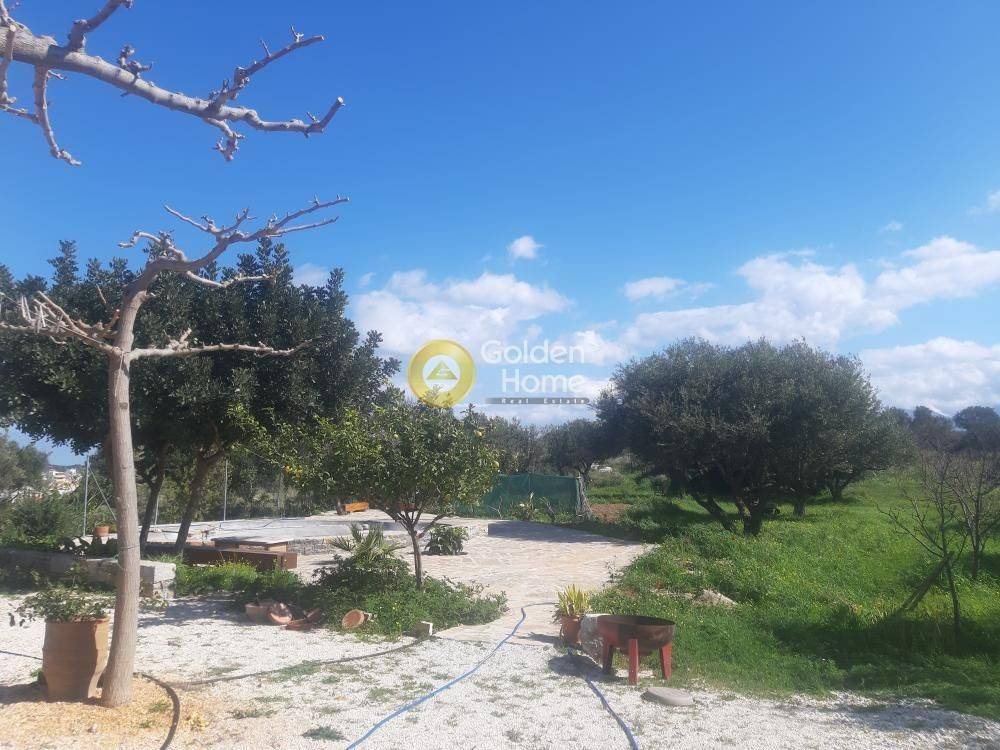 Εξωτερικός Χώρος