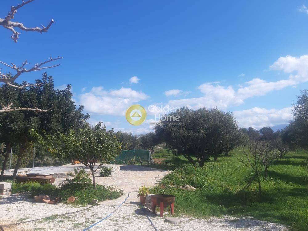 Εξωτερικός Χώρος