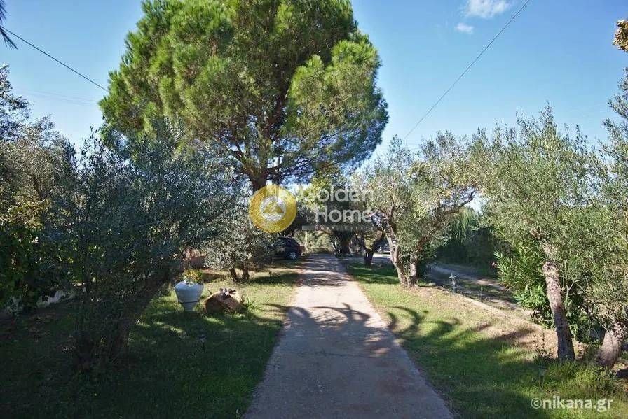 Εξωτερικός Χώρος