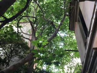 Εξωτερικοι χώροι