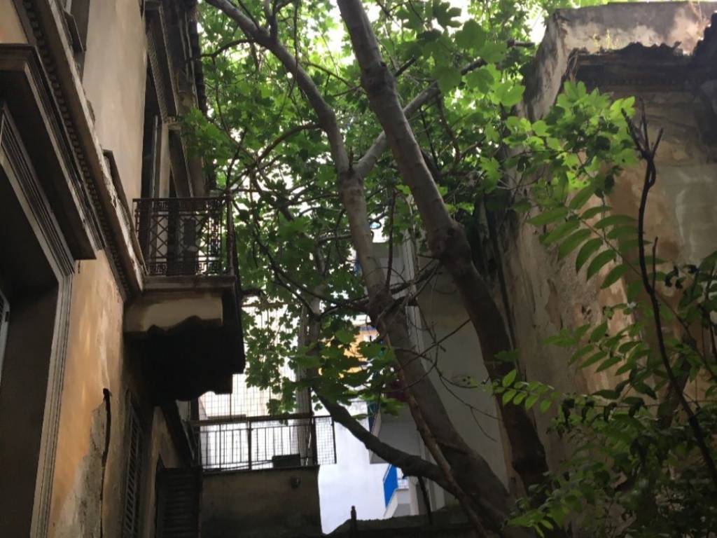 Εξωτερικοι χώροι