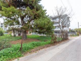 Εξωτερικοι χώροι