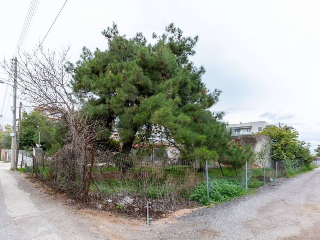 Εξωτερικοι χώροι