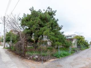 Εξωτερικοι χώροι