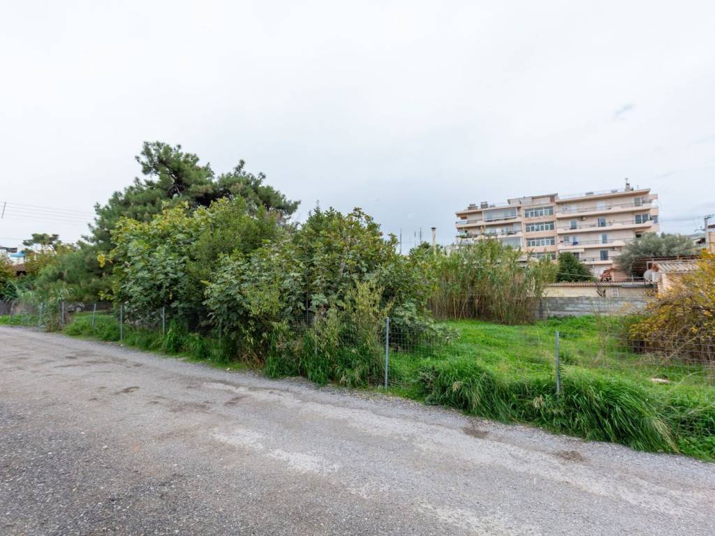 Εξωτερικοι χώροι