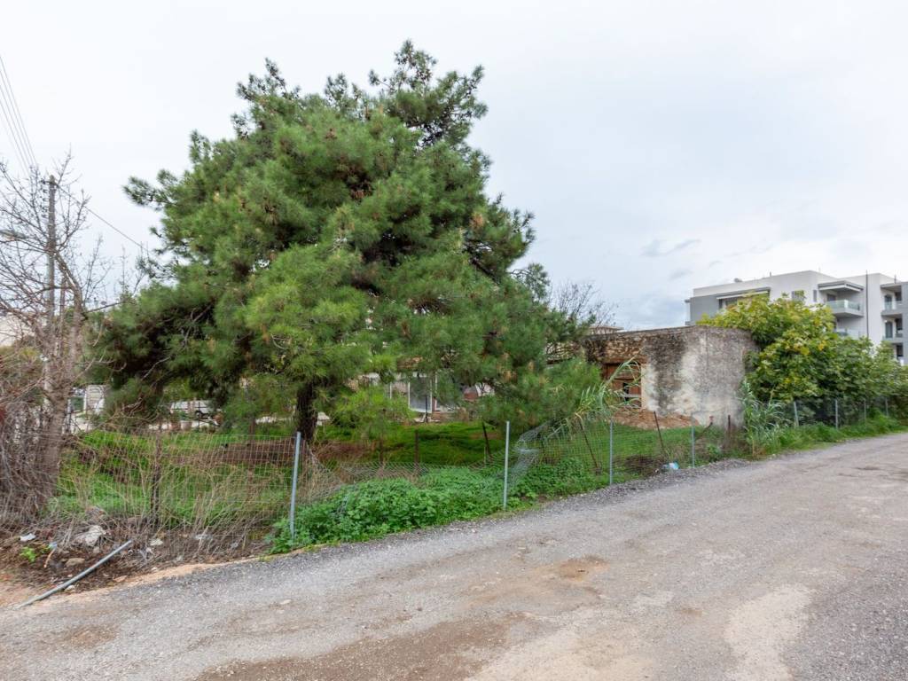 Εξωτερικοι χώροι