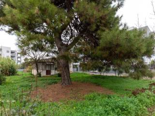 Εξωτερικοι χώροι