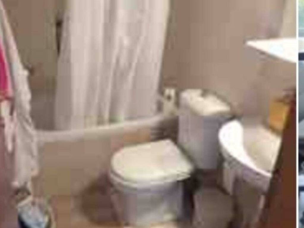 Apartment - Grekodom 64930|1032556