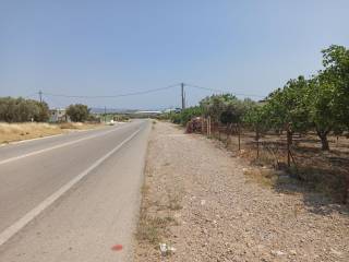 ΠΡΟΣΟΨΗ 57 μ. ΕΠΙ ΤΗΣ ΕΠΑΡΧΙΑΚΗΣ ΟΔΟΥ ΜΕΓΑΡΩΝ-ΑΛΕΠΟΧΩΡΙΟΥ