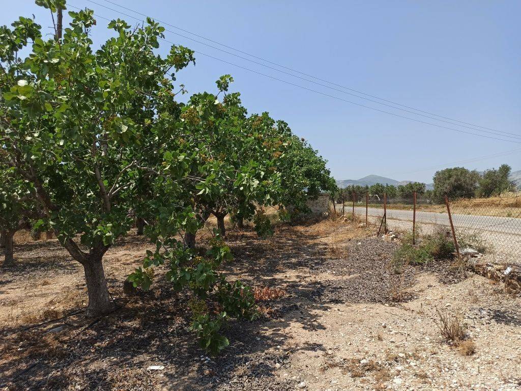 ΤΜΗΜΑ ΤΟΥ ΑΓΡΟΤΕΜΑΧΙΟΥ