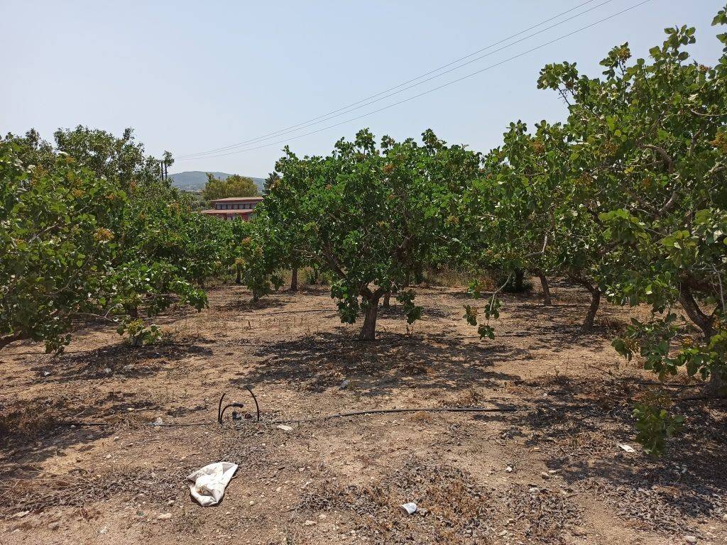 ΤΜΗΜΑ ΤΟΥ ΑΓΡΟΤΕΜΑΧΙΟΥ