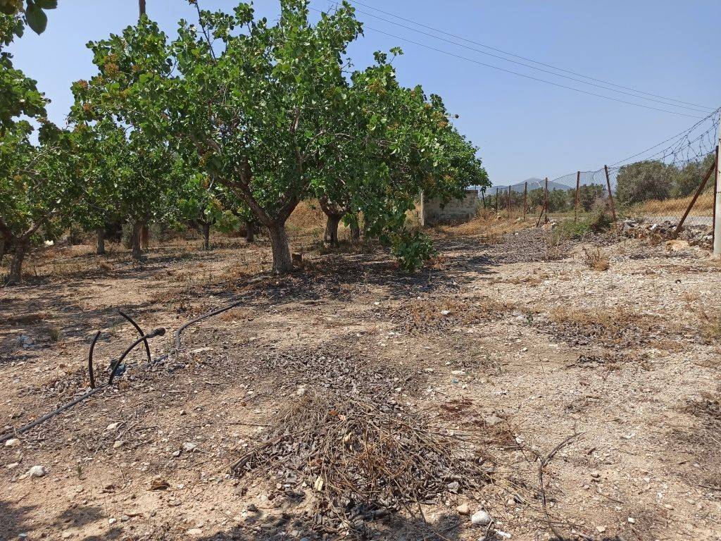 ΤΜΗΜΑ ΤΟΥ ΑΓΡΟΤΕΜΑΧΙΟΥ