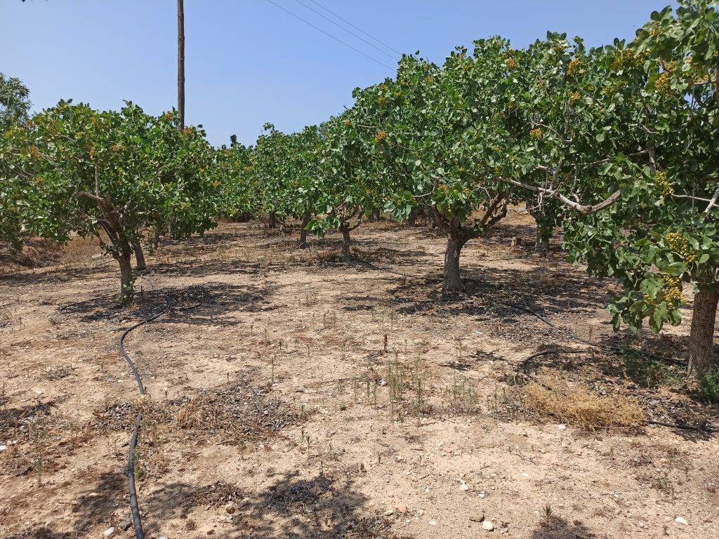 ΤΜΗΜΑ ΤΟΥ ΑΓΡΟΤΕΜΑΧΙΟΥ