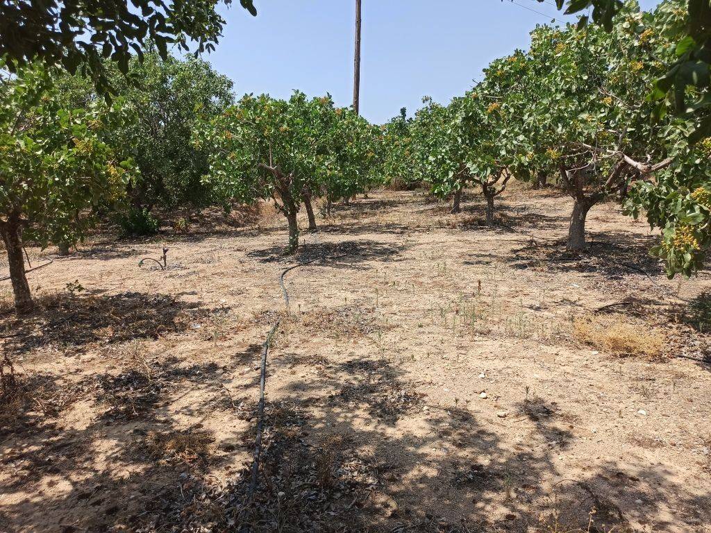 ΤΜΗΜΑ ΤΟΥ ΑΓΡΟΤΕΜΑΧΙΟΥ