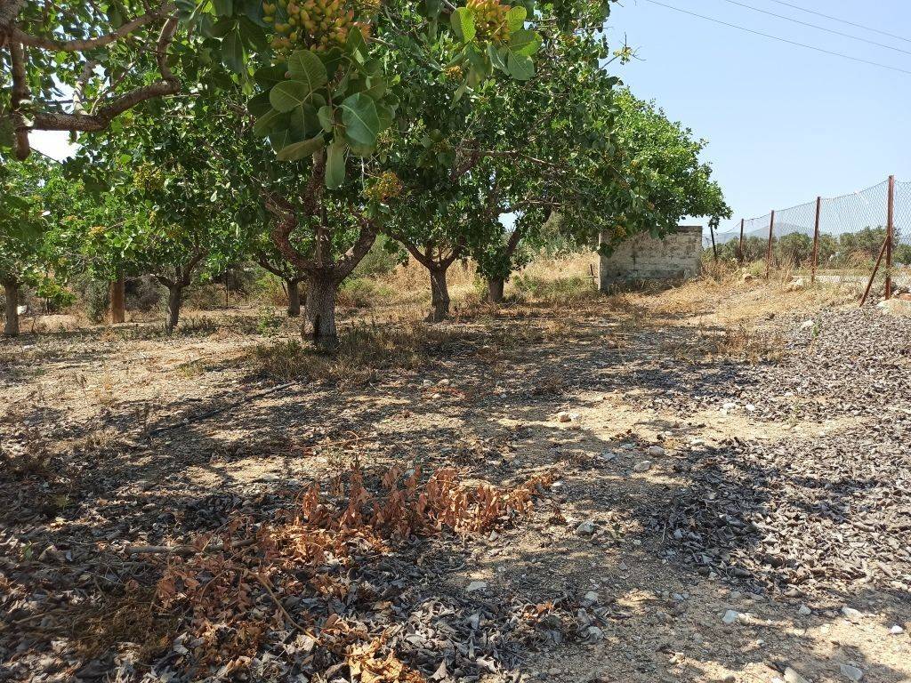 ΤΜΗΜΑ ΤΟΥ ΑΓΡΟΤΕΜΑΧΙΟΥ