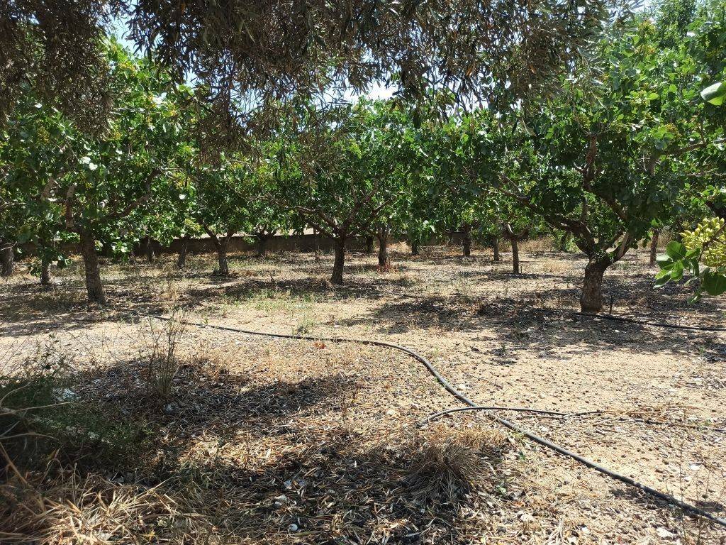 ΤΜΗΜΑ ΤΟΥ ΑΓΡΟΤΕΜΑΧΙΟΥ