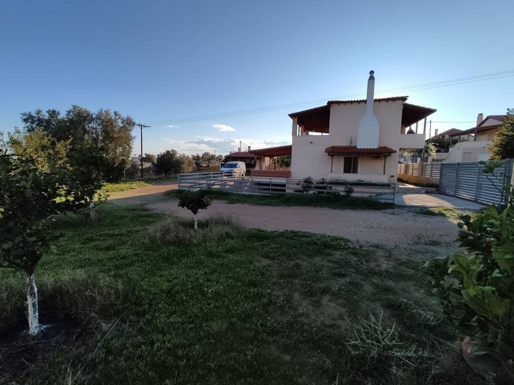 ΑΝΑΤΟΛΙΚΗ ΟΨΗ