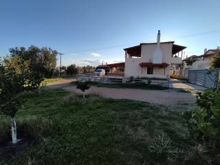 ΑΝΑΤΟΛΙΚΗ ΟΨΗ