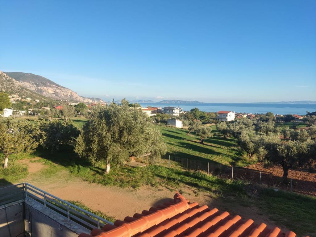 ΘΕΑ ΑΠΟ ΒΕΡΑΝΤΑ