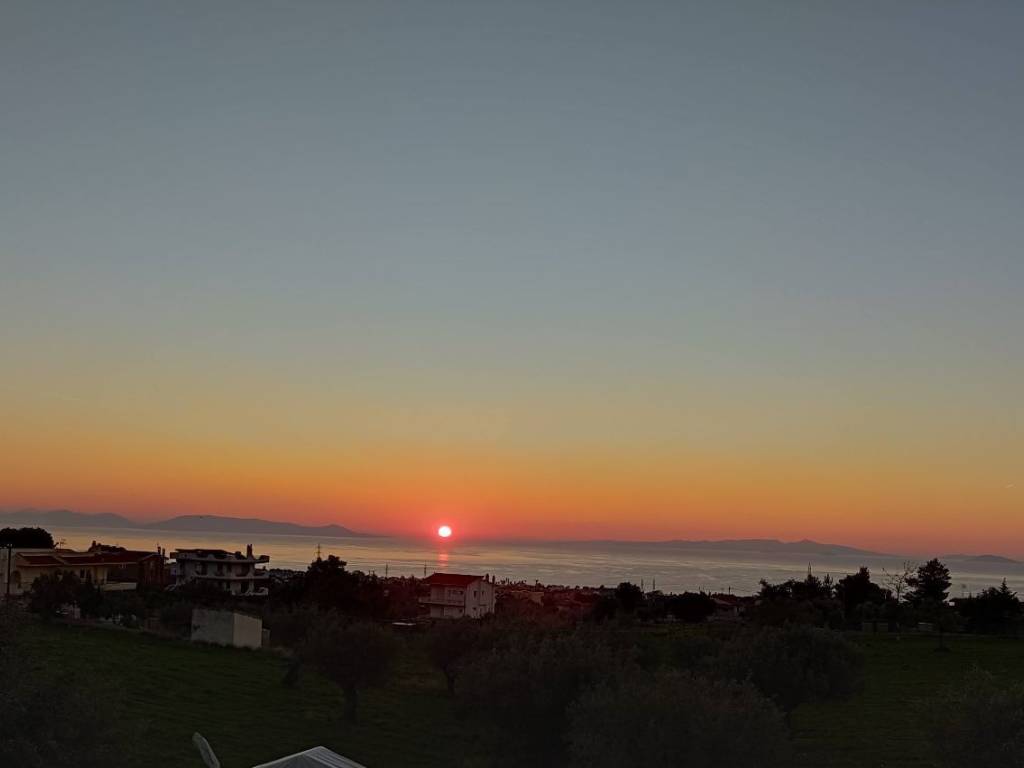 ΘΕΑ ΑΠΟ ΒΕΡΑΝΤΑ