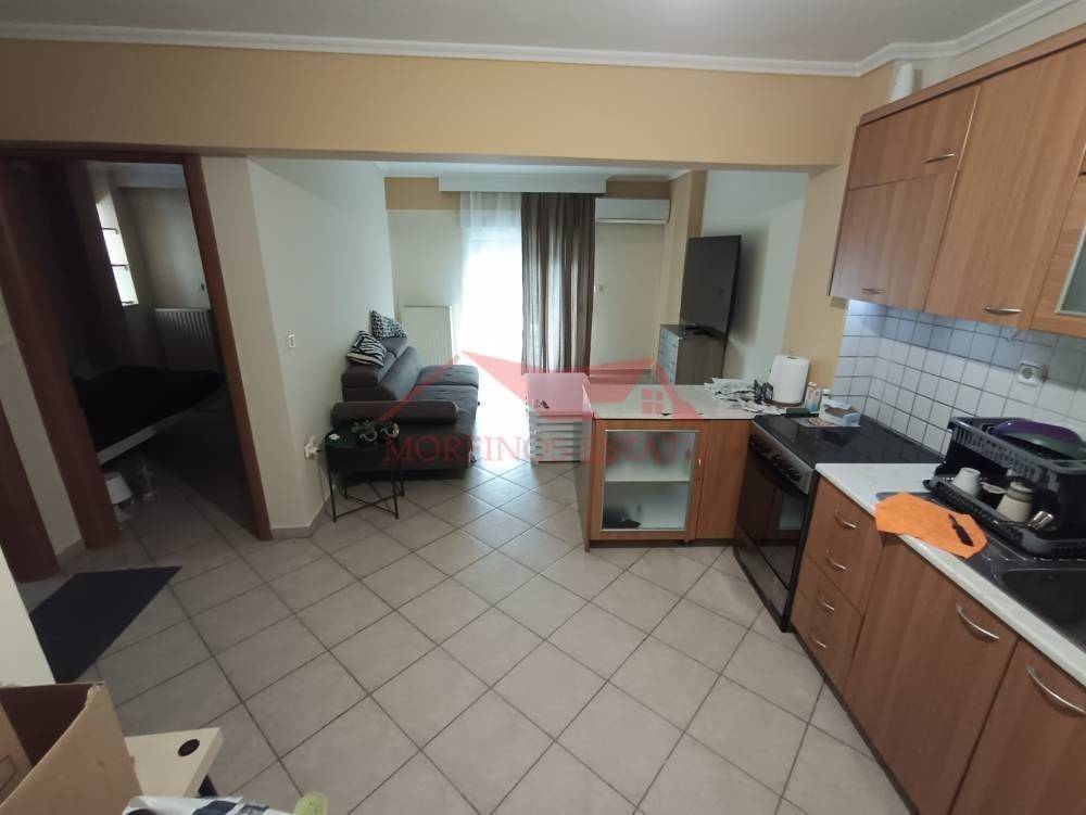 Σαλοκουζίνα