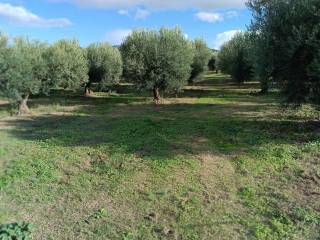 ANYPLACE ΜΕΣΙΤΙΚΕΣ ΥΠΗΡΕΣΙΕΣ