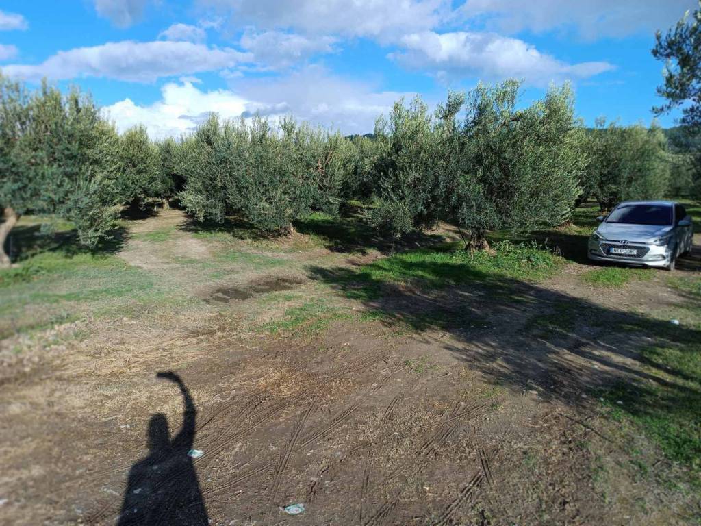 ANYPLACE ΜΕΣΙΤΙΚΕΣ ΥΠΗΡΕΣΙΕΣ