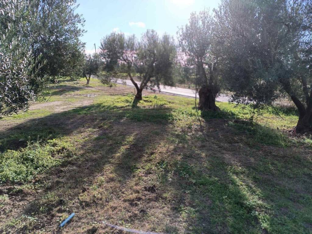 ANYPLACE ΜΕΣΙΤΙΚΕΣ ΥΠΗΡΕΣΙΕΣ