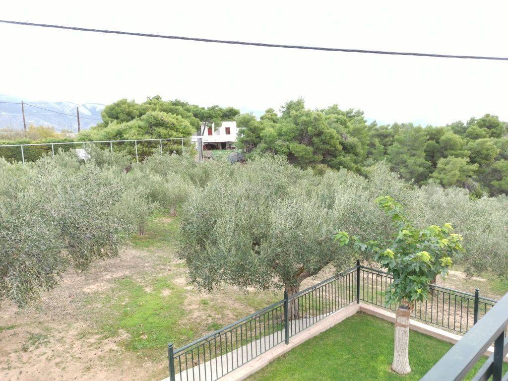 TMEMA TOY AGROTEMACHIOY