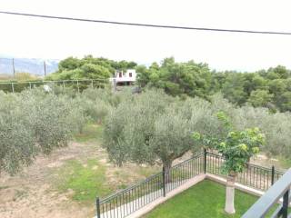 TMEMA TOY AGROTEMACHIOY