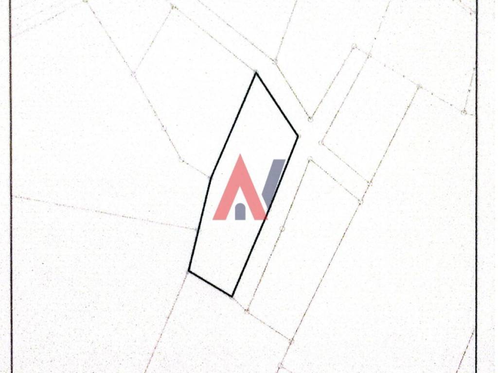 untitled (1 of 1).jpg