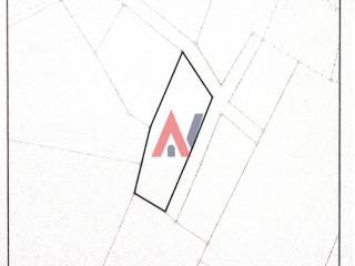 untitled (1 of 1).jpg