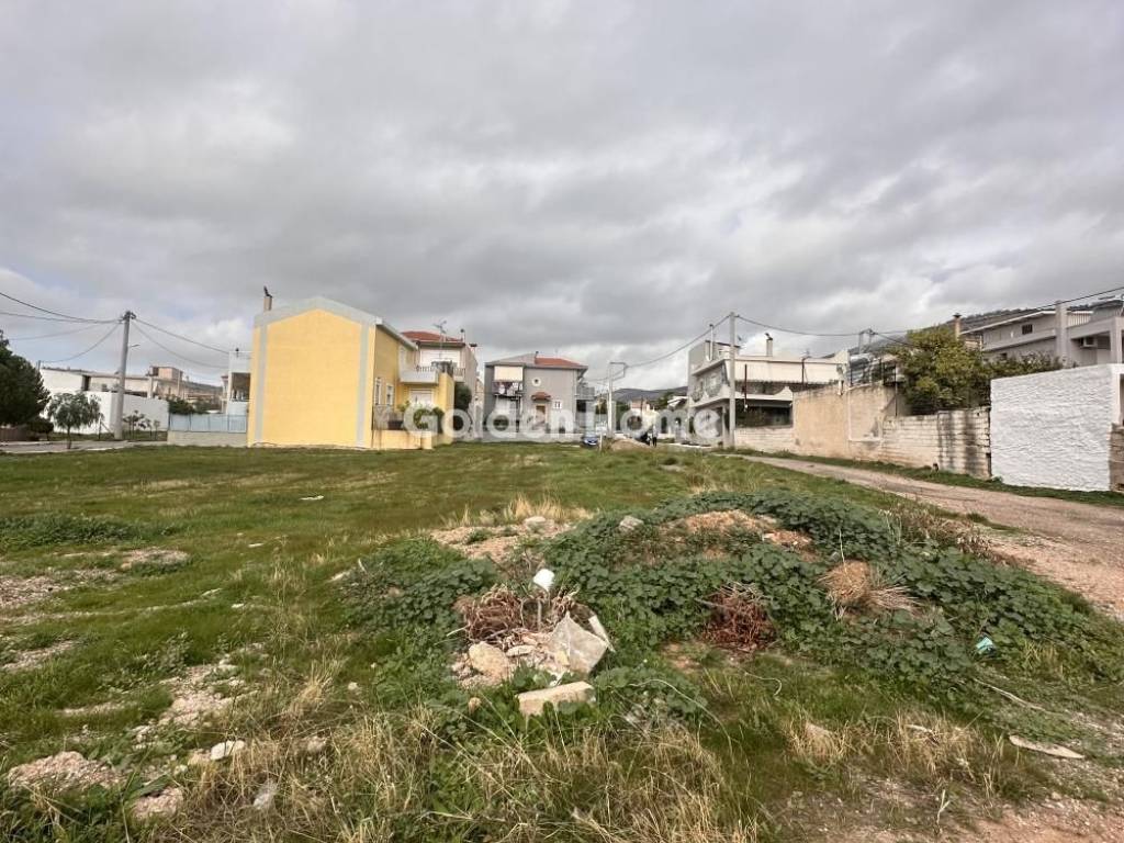 Κυρίως Χώρος