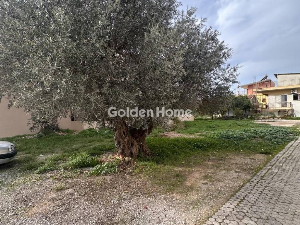 Κυρίως Χώρος