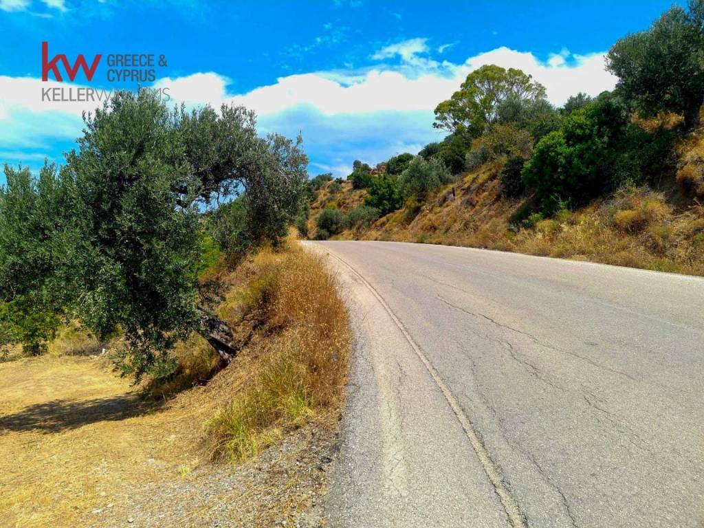 Εξωτερικοι χώροι